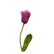 3D Bloom Tulip with Leaf
