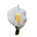 3D Calla Lily