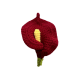 3D Calla Lily