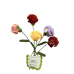 Carnations