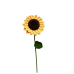 Large Size Sunflower